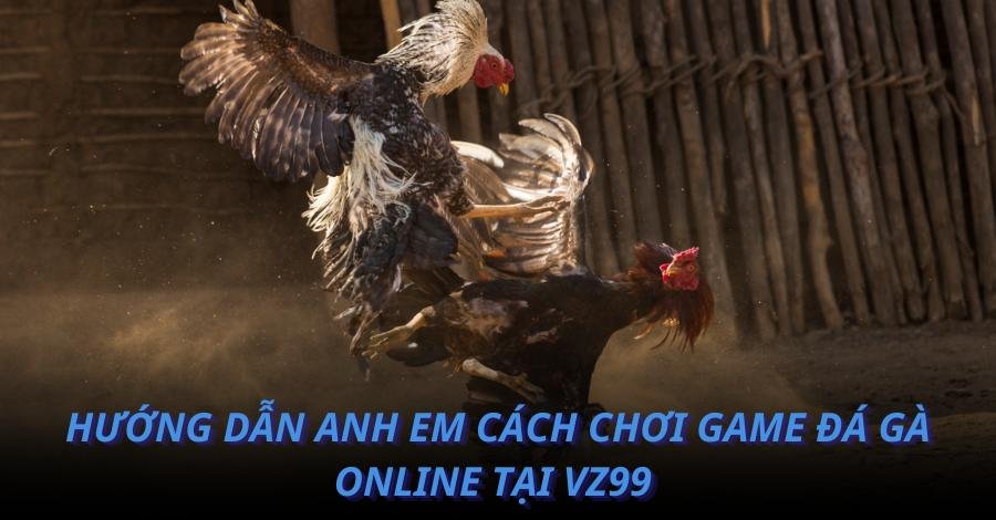 Hướng dẫn anh em cách chơi game đá gà online tại VZ99