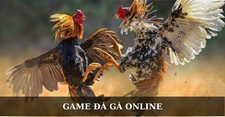 Game đá gà online - Chia sẻ kinh nghiệm chơi luôn thắng