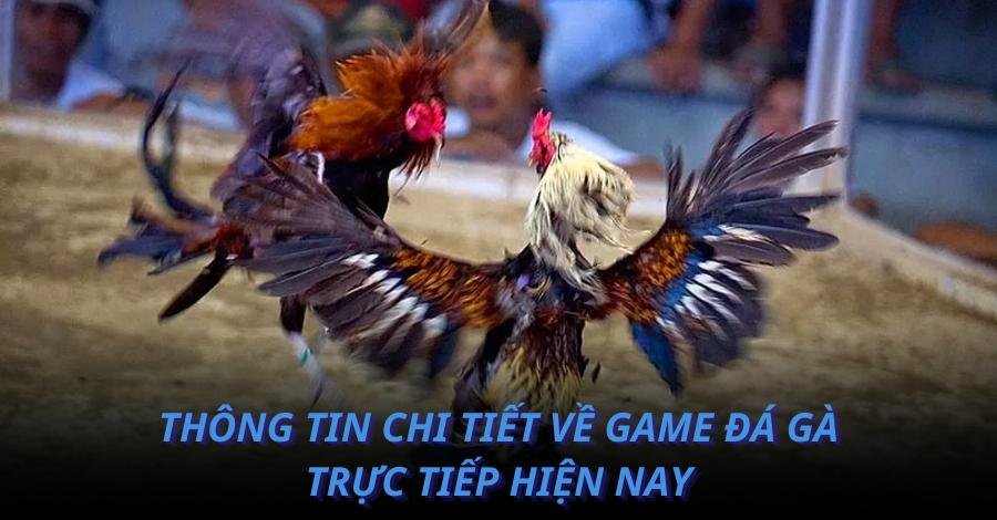 Thông tin chi tiết về game đá gà trực tiếp hiện nay